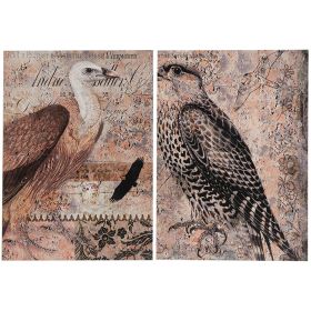 Set of 2 Antique Post Card Birds Wall Art