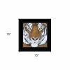 Tiger Gaze 2 Black Framed Print Wall Art