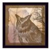 Owl 2 Black Framed Print Wall Art