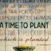 Time to Plant Unframed Print Wall Art