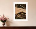 The Angels Sing 1 White Framed Print Wall Art
