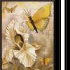 Set Of Three Butterflies 2 Black Framed Print Wall Art