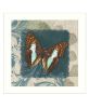 Swirl Butterfly White Framed Print Wall Art
