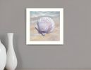 Scallop White Framed Print Wall Art