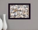 Starfish and Seashell 1 Black Framed Print Wall Art