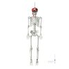 Halloween 5.4 FT Skeleton Bones - US
