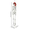 Halloween 5.4 FT Skeleton Bones - US