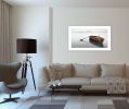 "Solitude" by Moises Levy, Ready to Hang Framed Print, White Frame - as Pic